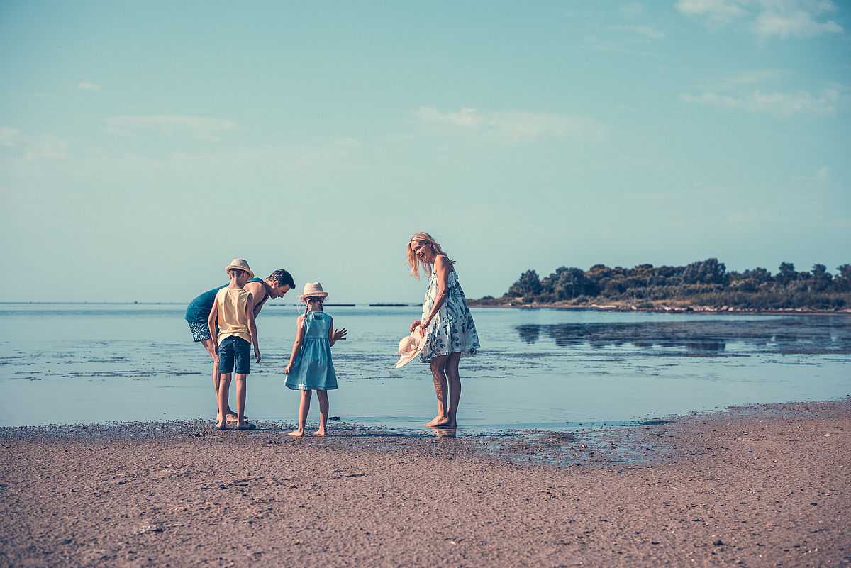 Walk on the beach with the family at low tide